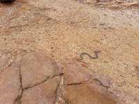 2018-11-12 14.23.45 (Grand)